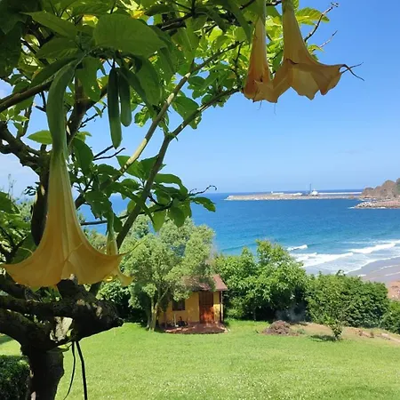Villa Hola Gijon